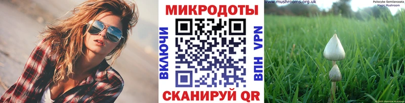 Псилоцибиновые грибы Cubensis  сайты даркнета телеграм  Чишмы 